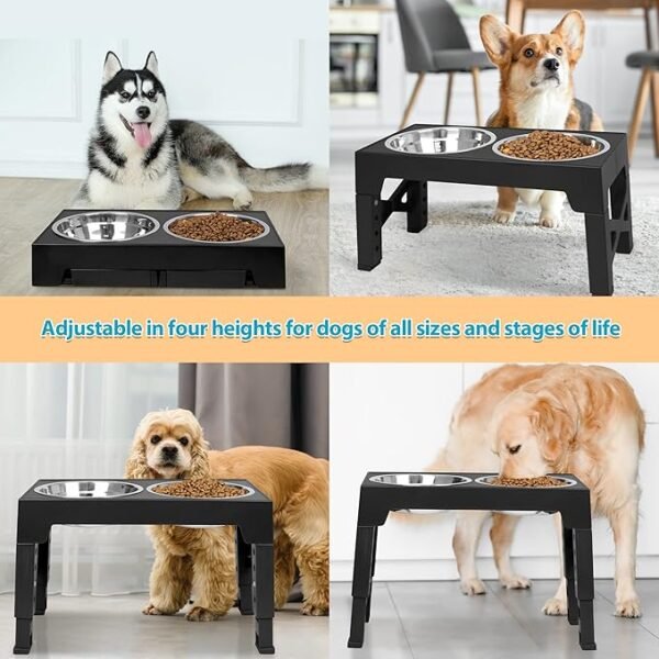 Adjustable Elevated Dog Bowls, 5 Heights - Image 4