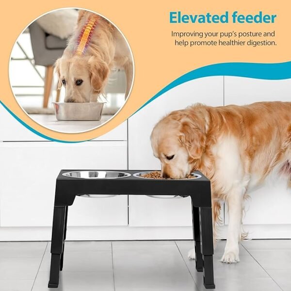 Adjustable Elevated Dog Bowls, 5 Heights - Image 5
