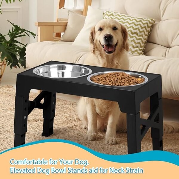Adjustable Elevated Dog Bowls, 5 Heights - Image 7