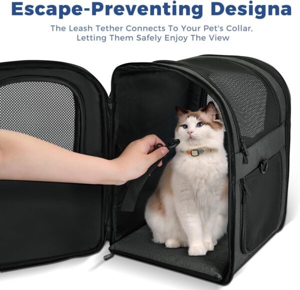 Pet Carrier Backpack for Travel & Hiking - Image 2