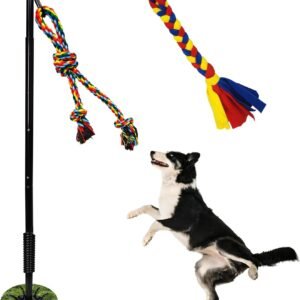 Outdoor Tether Tug Toy for Dogs