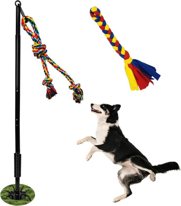 Outdoor Tether Tug Toy for Dogs