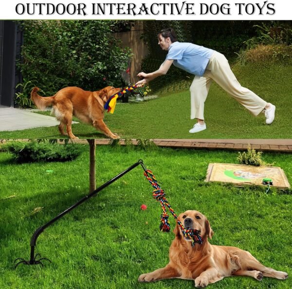 Outdoor Tether Tug Toy for Dogs - Image 5