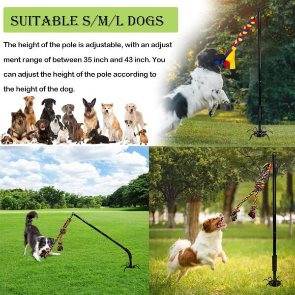 Outdoor Tether Tug Toy for Dogs - Image 6
