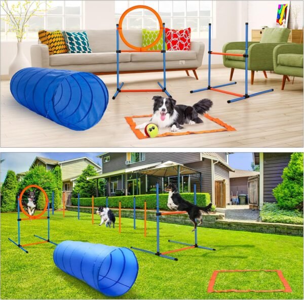 60-Piece Dog Agility Training Kit - Image 3