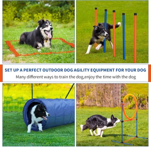60-Piece Dog Agility Training Kit - Image 4